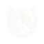 WSO logo